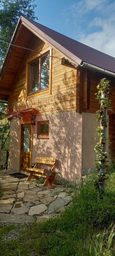 Марічка Marichka Vorokhta Exterior foto